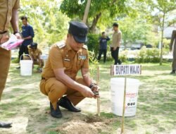 Jaga Keseimbangan Ekosistem Lingkungan, Pemkab Wajo Tanam 5000 Pohon