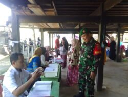 Babinsa Koramil 1406-10/Pitumpanua Laksanakan Pendampingan Kegiatan Posyandu