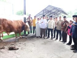 Terima Bantuan Sapi dari Presiden, Masyarakat Air Batu Asahan Penuh Syukur