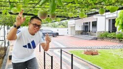Bosan Teras Rumah Terasa Gerah? Coba Pasang “Kanopi Hidup” Ini!