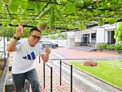 Bosan Teras Rumah Terasa Gerah? Coba Pasang “Kanopi Hidup” Ini!
