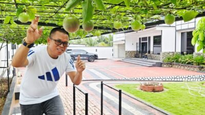 Bosan Teras Rumah Terasa Gerah? Coba Pasang “Kanopi Hidup” Ini!