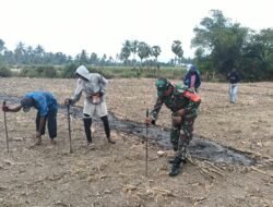 Dukung Ketahanan Pangan, Babinsa Koramil 1406-08/Sabbangparu Bantu Warga Tanam Jagung Hibrida