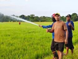 Kemarau Melanda, Anggota Komisi II DPRD Wajo Dorong Damkar Wajo Bantu Petani Aliri Sawah