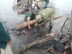 Kodim 1406/Wajo Tanam Mangrove Sambut HUT ke-81 TNI, Jaga Pesisir dan Lestarikan Lingkungan