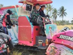 Danramil Belawa Hadiri Panen Raya, Sinergi TNI dan Pemda Wajo Perkuat Ketahanan Pangan