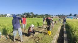 Babinsa Koramil 1406-10/Pitumpanua Bersama Warga Gotong Royong Bersihkan dan Perbaiki Jalan Tani