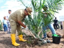 Bupati Asahan Lakukan Tanam Perdana PSR Kemitraan dan Intercropping Padi Gogo di Desa Gotting Sodadi